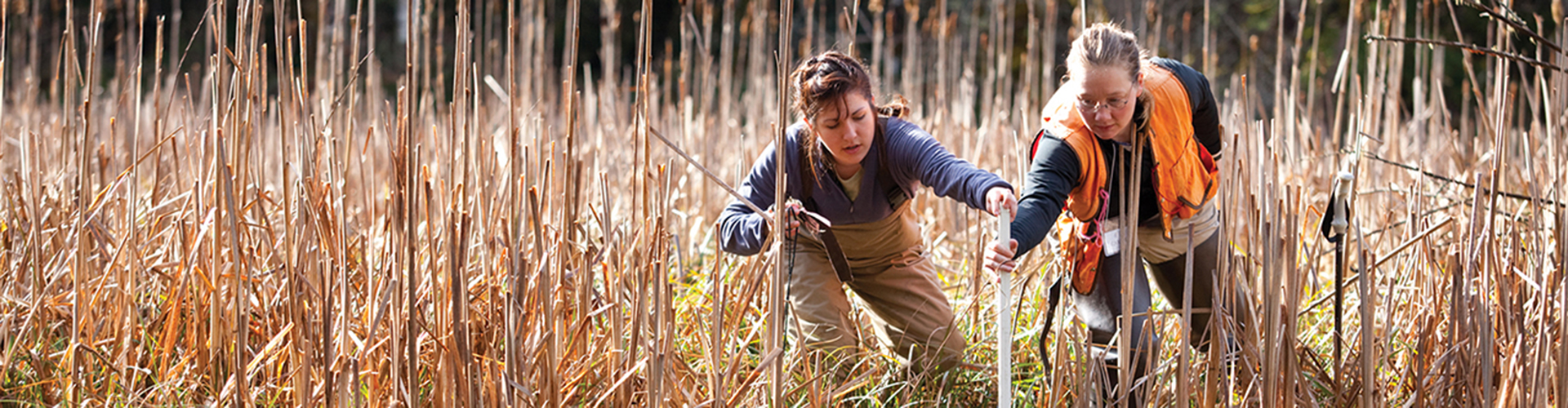 two PSU students doing research in a marsh